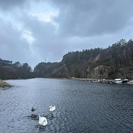 Apartment Aurora Bliss - Fjordfront Jacuzzi&sauna Near Bergen