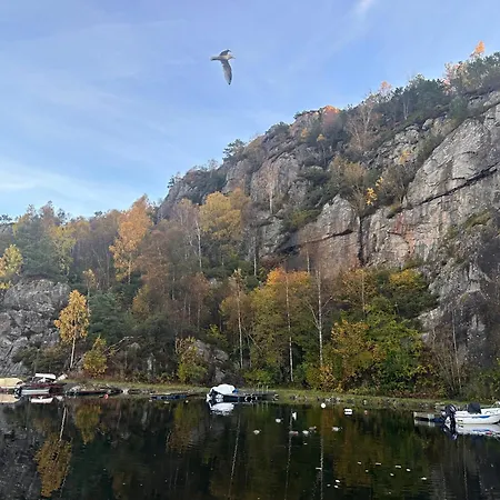 Aurora Bliss - Fjordfront Jacuzzi&sauna Near Bergen Apartment *